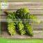 woodland wedding & garden accessories fake Sedum Hanging Stonecrop Green artificial mini succulents wholesale