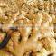 Fresh Ginger, hot Ginger
