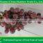 Nasik Grapes From Yunnan & Xinjiang Area Red Globe Grape Fresh Fruit Red Grape From China Import Export Companies Pune
