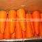 frozen IQF carrot/frozen sliced carrot
