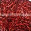 dry red chili / pepper - high quality from Vietnam