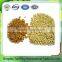 Best Quality Dehydrated Dried Apple Dices