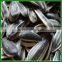 Sale Chinese Bulk Black Sunflower Seeds For Human Consumption