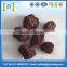 Pumice stone foot scrubber supplier