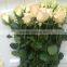 Natural Fresh cut rose flowers fresh cut flowers with top quality