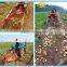 Africa hot sale potato harvester