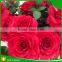 Artificial Rose Head in Red with Low Price