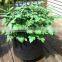 Nonwoven Fabric Raised Bed for Flowers (1 Gal to 1200 Gal) OEM Smart Pots