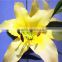 Home garden creepers decoration 110cm Height artificial yellow 2 flowers 2 bud Lily making EBHH04 2212