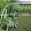 China Guangdong artificial grass wall interior green wall for decor