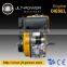 Twin Cylinder Diesel Engine