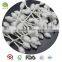 dental cleaning colored baby use alcohol cotton swab