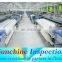 mattress bed quality testing and factory assessment service