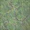 Home Decoration Indian Rain Forest Green Marble for Stairs Steps And Risers /Wall / Floor Tiles