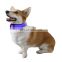 Blue nylon dog collar pet LED flash collar with bell for dog Nylon Dog Collar