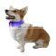 Blue nylon dog collar pet LED flash collar with bell for dog