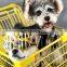 Luxury dog zipper coat international brand fashion style dog clothes pet clothing