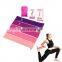 Manufacturer Training Elastic Sports Gym Private Label Pull Up Loop Stretch Fitness Resistance Bands