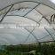 Greenhouse Structure Pole Ancher stake in horn shape