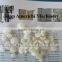 pregelatinized starch extrusion machine