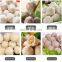 high quality meatball roll machine / meatball molding machine