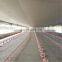 Qingdao light weight galvanized steel structure close chicken farm house poultry shed