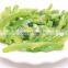 Sinocharm BRC A Approved W5-7MM IQF Sliced Green Pepper Strips Frozen Bell Peppers