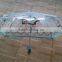 3 fold transparent poe folding umbrella wholesale