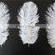 6"-8" 15cm-20cm DIY Many Plume Colored Ostrich Feather For Sale