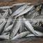 fresh frozen fish horse mackerel