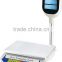 yonzo new model white abs housing electronic scale with pole
