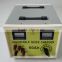 60A24V electric locomotive battery chargers