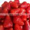 2016 new crop supply iqf strawberry