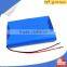 Small lithium polymer battery 3000mah 12v small rechargeable battery for Solar and medical system