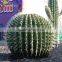 Amusment Park Outdoor Decoration Artificial Cactus