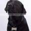 Custom the fire brigade metal dog tag