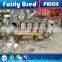 Used Mercedes Benz Engine for sale
