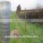 galvanized woven wire field fence, sheep wire fence with post, grassland fence specification