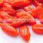 100% pure natural organic goji berries 280 pcs/50g