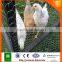 Galvanized hexagonal wire mesh/rabbit mesh/chicken mesh