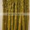 Canned green asparagus spears normal lid