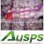 2015 crop garlic china