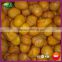 2016 New Organic Natural Frozen All Chestnuts Food