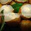 Canned sweet longan in syrup