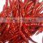 Exporters of Hot Teja Chilli