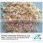 Dried frozen baby shrimp