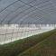 White Anti-insect net