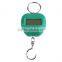 Mini Cute Handheld Food Vegatable Fruit 20kg/10g Home Digital Weight Scale