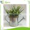 Wholesale custom unique small wedding gift decorative garden galvanized metal watering can for sale