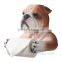 Handmade resin bulldog bust animal toilet paper roll holder